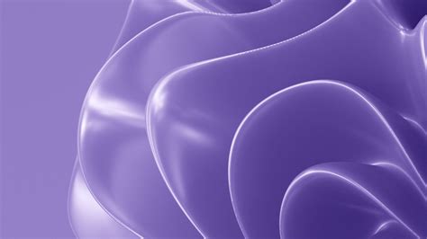 Expert Paid Search Services | WeDiscover