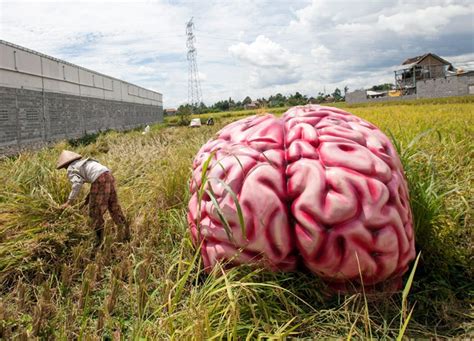 We were more intelligent in the 1800s than now! - India Today