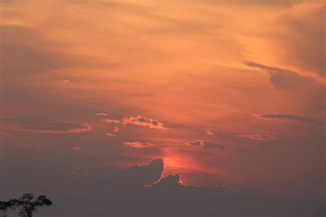 Roaring Creations Private Limited - Web Designing and Development ...