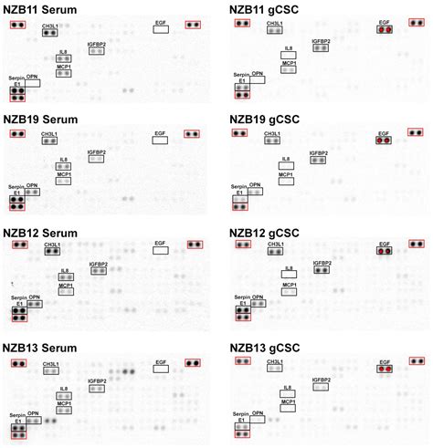 Comprehensive Assessment of Secreted Immuno-Modulatory Cytokines by ...