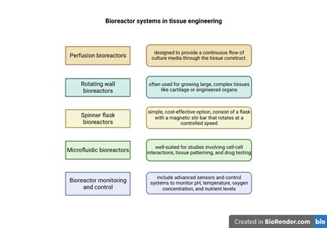 Image result for Tissue Engineering Bioreactor