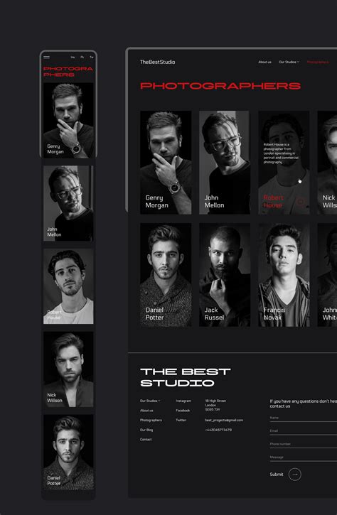 JavaScript Studio 的图像结果