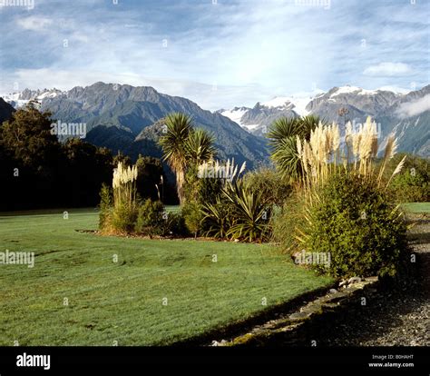 Landscape at the Franz Josef Glacier, South Island, New Zealand Stock ...