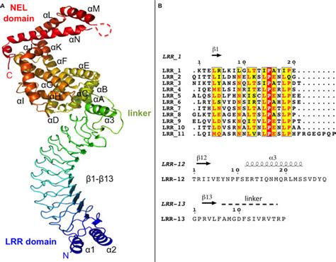 Image result for Slrp Connection
