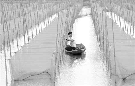 安徽省安庆市望江县依托当地丰富的水资源优势推动特色养殖产业向专业化、标准化、规模化发展-中国质量新闻网