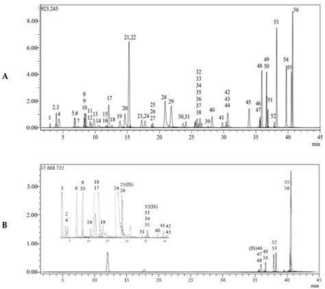 Comprehensive Metabolite Profiling of Berdav Propolis Using LC-MS/MS ...
