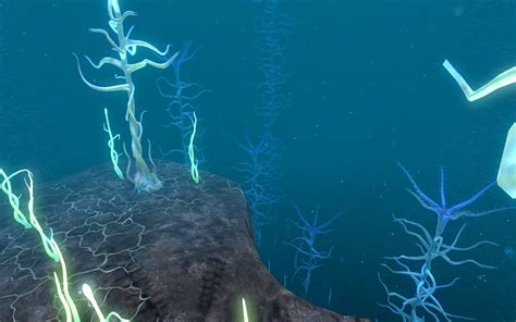 深海的阳光图片-深海下的阳光素材-高清图片-摄影照片-寻图免费打包下载