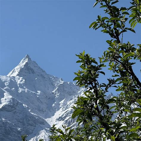 𝗧𝗛𝗘 𝟭𝟬 𝗕𝗘𝗦𝗧 Hotels in Kalpa of 2026 (with Prices) - Tripadvisor