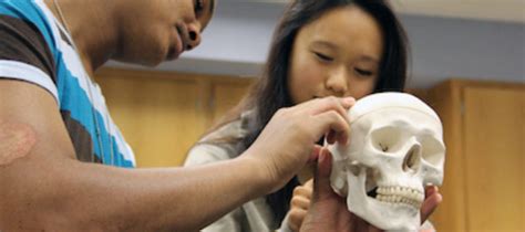 PLTW Biomedical Science 的图像结果