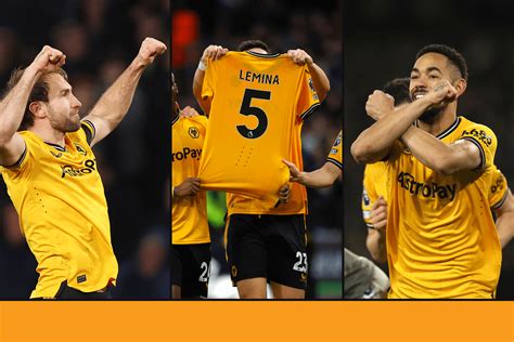 Image result for Wolves Goals and Reactions