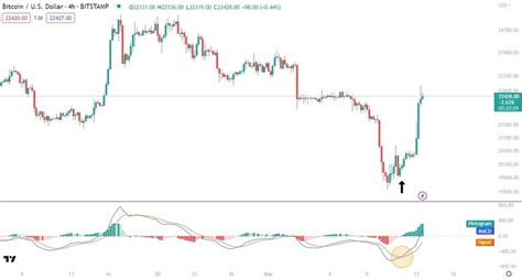 Signal Line 的图像结果