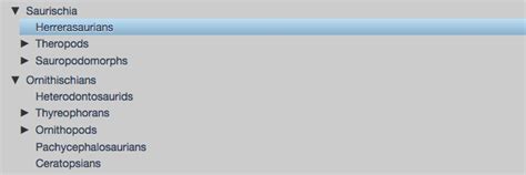 TreeViewer JavaScript 的图像结果