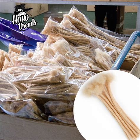 Image result for How to Maintain Loc Extensions