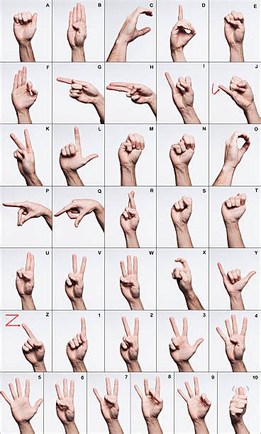 Basic Sign Language Signs 的图像结果