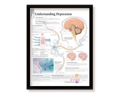 Understanding Depression 的图像结果