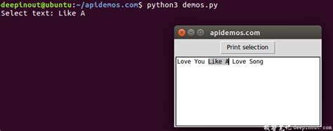 Tkinter Text 的图像结果