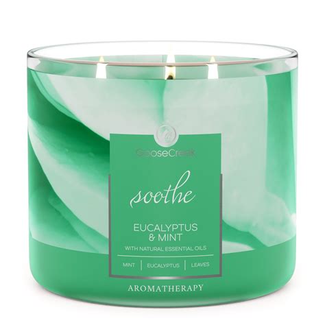 Relax and Refresh with Eucalyptus Mint Aromatherapy Candle – Goose ...
