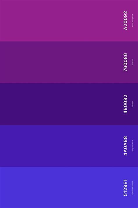 Coding Indigo Code 的图像结果