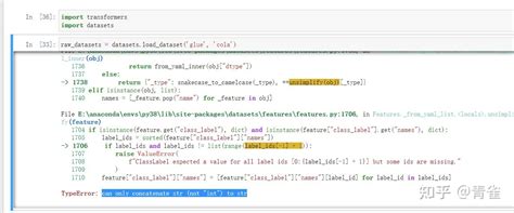 Pytorch Dataset 的图像结果