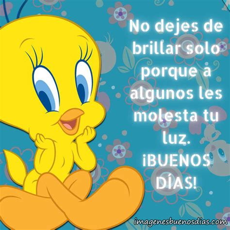 Piolin buenos dias frases » Imágenes Buenos Días