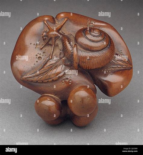 Snail on Mushrooms. Naitō Toyomasa (Japan, 1773-1856). Japan, first ...