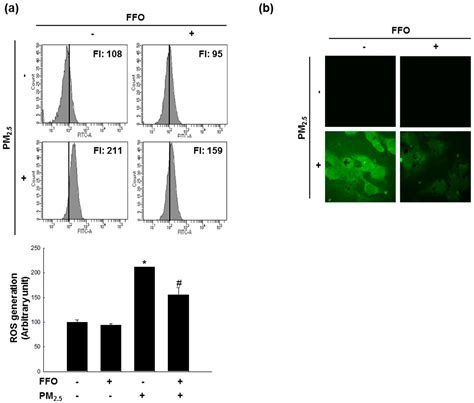 Effect of Fermented Fish Oil on Fine Particulate Matter-Induced Skin Aging