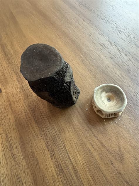 Shark vertebrae and something else’s vertebrae? : r/fossilid