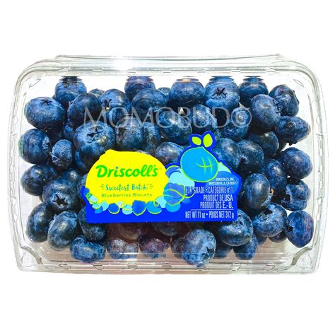 Jumbo Driscoll's Sweetest Batch Blueberry (312g punnet) — MomoBud