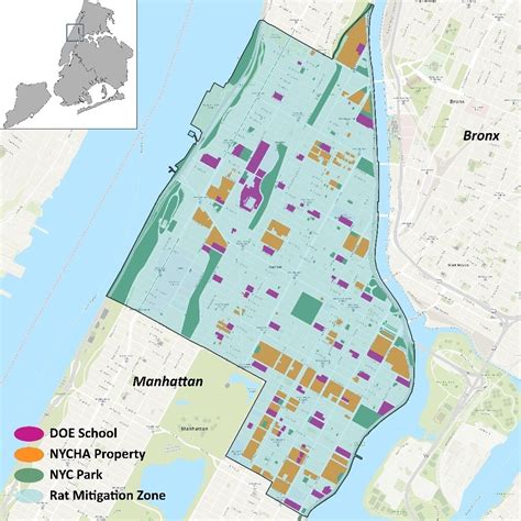 Mayor Adams Anoints Kathleen Corradi as NYC's First-Ever 'Rat Czar ...