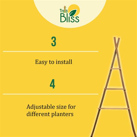 Trellis Bliss Bamboo A-Trellis – trellisblissindia