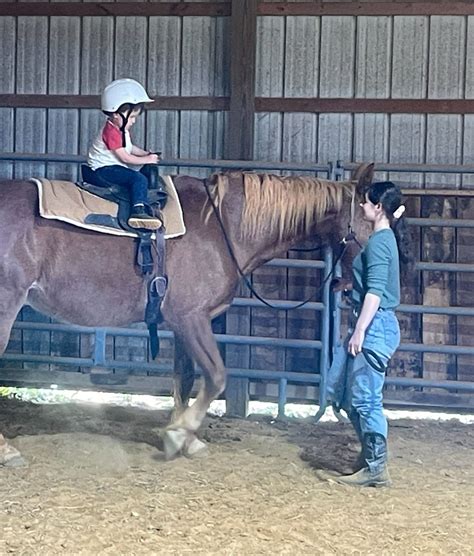 Volunteer — Mustard Seed Ranch