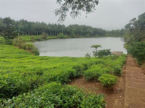 Tirthayatra Mauritius :: Album