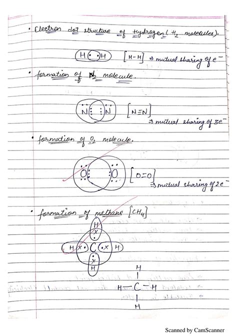 Image result for Class 10 Science Chapter 4 Notes