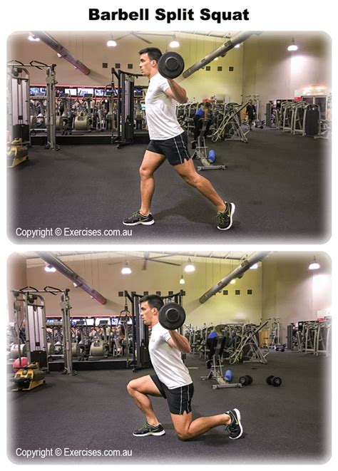 Barbell Split Squat | Quick 2:16 Min Step-by-Step Video