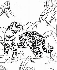 ausmalbilder jaguar ausdrucken 2139 best images about ausmalbilder on autos ausmalbilder jaguar ausdrucken 2139 best images about ausmalbilder on autos