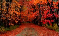 Autumn Wallpapers by Beautiful Autumn Wallpapers The Wow Style Autumn Wallpapers