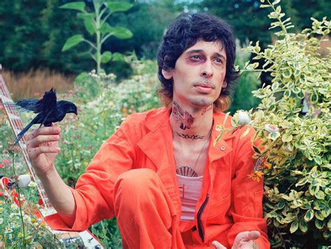 Image result for Alien Tango Live