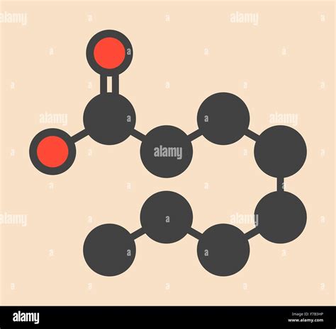 Caprylic (octanoic) acid molecule. Common saturated medium-chain fatty acid. Stylized skeletal ...