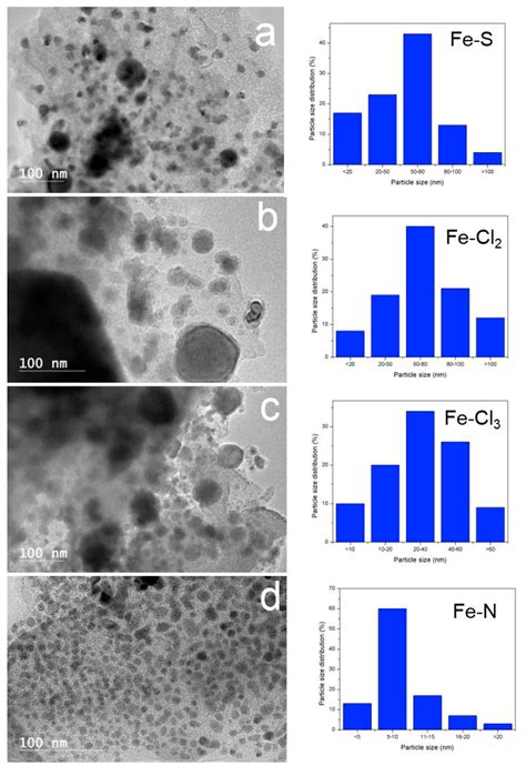 Synthetic Bio-Graphene Based Nanomaterials through Different Iron Catalysts