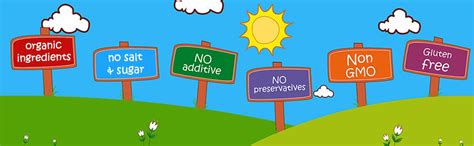 Happa Healthy Baby Food Puree Travel Combo | 100% Fruits and Vegetables ...