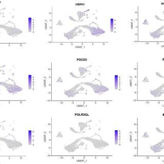 Dynamic Cellular Localization Chart 的图像结果
