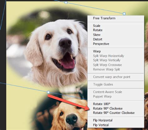Image result for Auto Rotate Over Layer