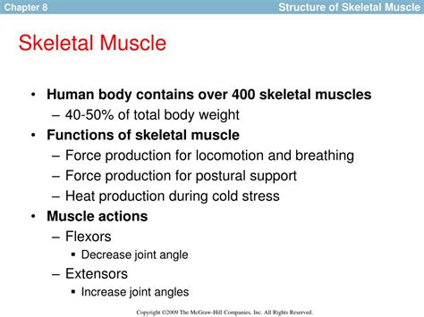 Image result for Skeletal Muscle Function