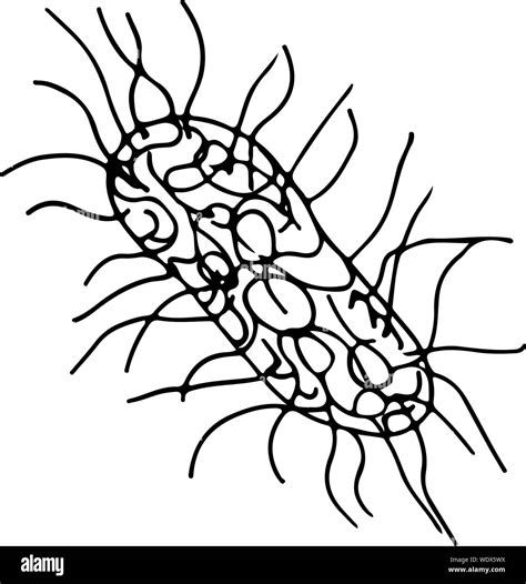 Image result for Bacteria Simple Drawing