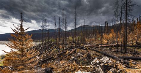 Wyoming Wildfire Map