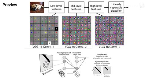 Convolution Network 的图像结果