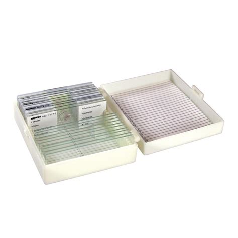 Konus Italia Group Set of 10 Slides – Structure of Vegetables ...