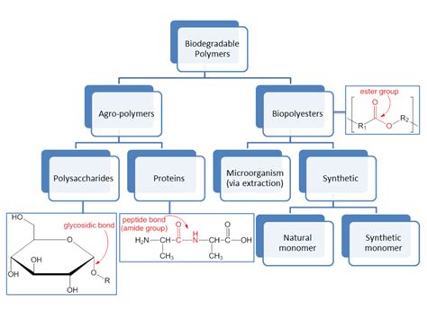 Image result for Biodegradable Polymers Examples