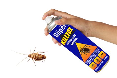 Cockroach spray with spray cans isolated over white background – Kozmo ...