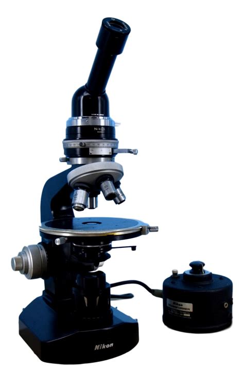 Polarizing Light Microscope 的图像结果